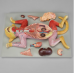 Cat Dissection Model